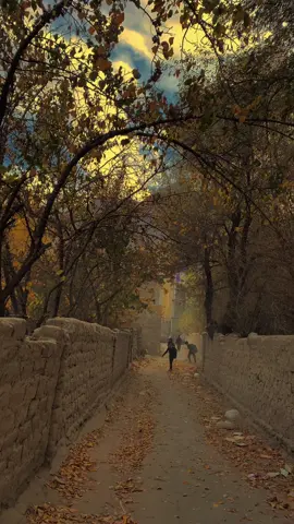 ‏ایک عادت بنائیں۔  اپنی صلاحیتوں کا بھی صدقہ کیا کریں۔ ‏کسی کی مسکراہٹ کی وجہ بن جائیں،   کسی کیلئے روزگار کا سبب پیدا کریں۔  کسی کو مخلصانہ مشورہ دیں  کسی کا مفت کام کر دیں۔  کسی کی کوئی مشکل آسان کر دیں،  کسی کا دُکھ بانٹ لیں۔ ‏اور کسی کی خوشی کی وجہ بن جائیں۔