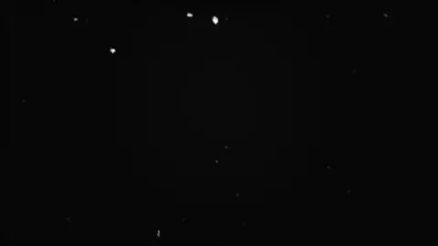 #کریستاڵ  #foryoupage #aktivs? #rasty_lak #fyp #