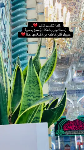 #عظم_الله_اجورنا_واجوركم_بهذا_المصاب #استشهاد_فاطمه_الزهراء_ع_كسر_ظلعها_😭 #١٣_جمادى_الاول #لعن_الله_ضالمين_حق_محمد_وآل_محمد #ائمة_البقيع 