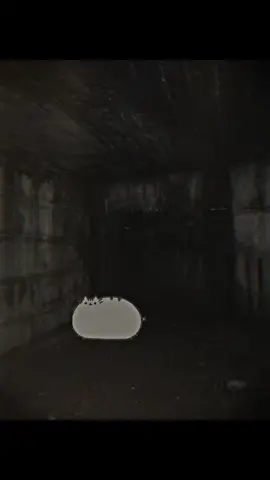 she’s coming for you. #pusheen #pusheenthecat #fyp #foryoupage #creepypasta 