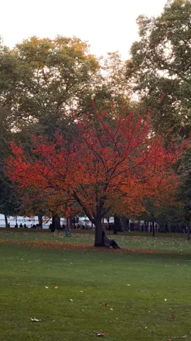 केही थिएन बेच्नलाई, आँखामा भएका केही सपना बेचेँ कसैको खुसी किन्नलाई। ❤️‍🩹