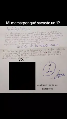 🥇 👏#maxverstappen👑🇳🇱 #fromula1 #redbullracing #champions 