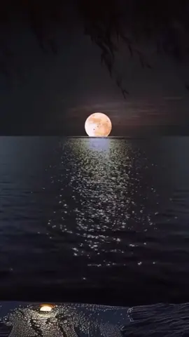 #الخطاط_شفاف  #اكسبلور  #الليل 