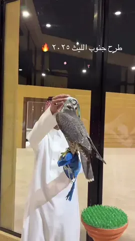 #جدة #وحش #شاهين #نادي_الصقور_السعودي #الليث 