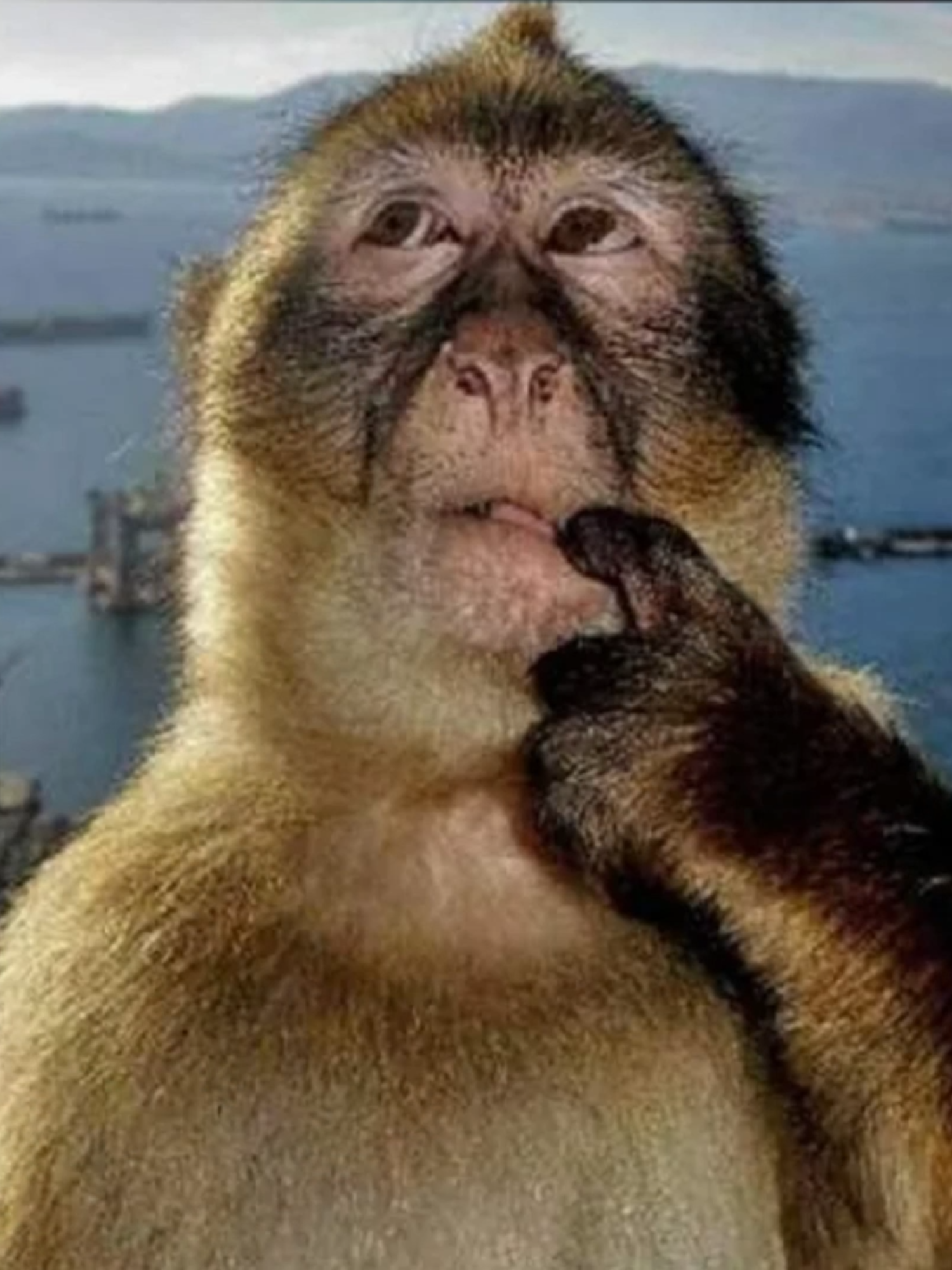 Roblox Nocti gameplay#projectmoon #roblox