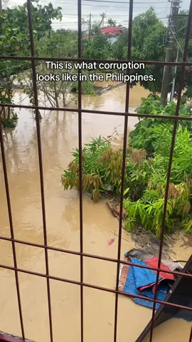 Welcome to the Philippines. #thelifeofjoey 