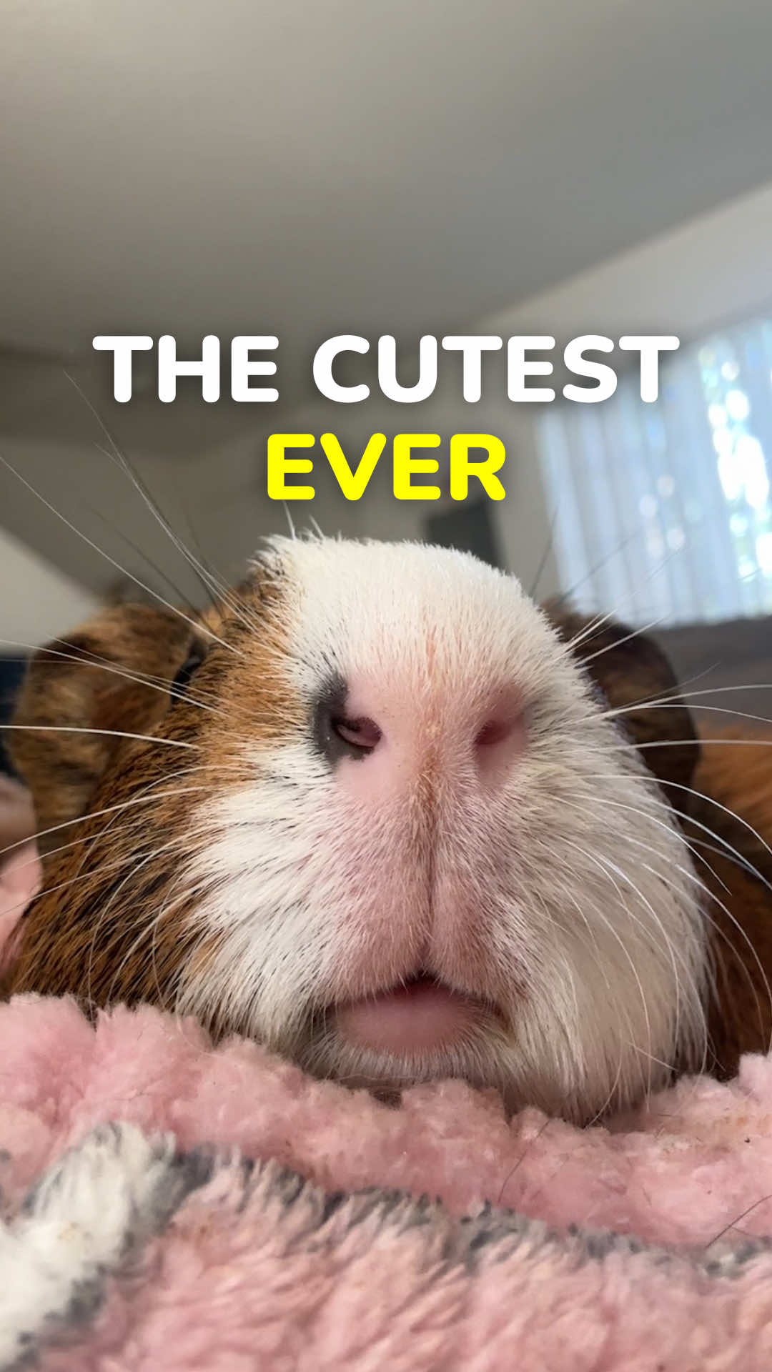 I can’t argue with that 🥹🫶