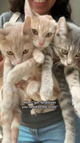 oops 🤭 link in bio for smalls discount 🥰 @smallsforcats #fyp #catfood #bestcats #kittens #rescuekittens 
