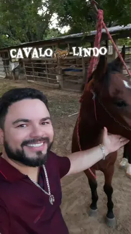 #pegaavisao😎 #foryoupage❤️❤️ #musicalinda🎶🎶❤ #gratidaoportudo🍃😘👨‍⚕️ #fyp 