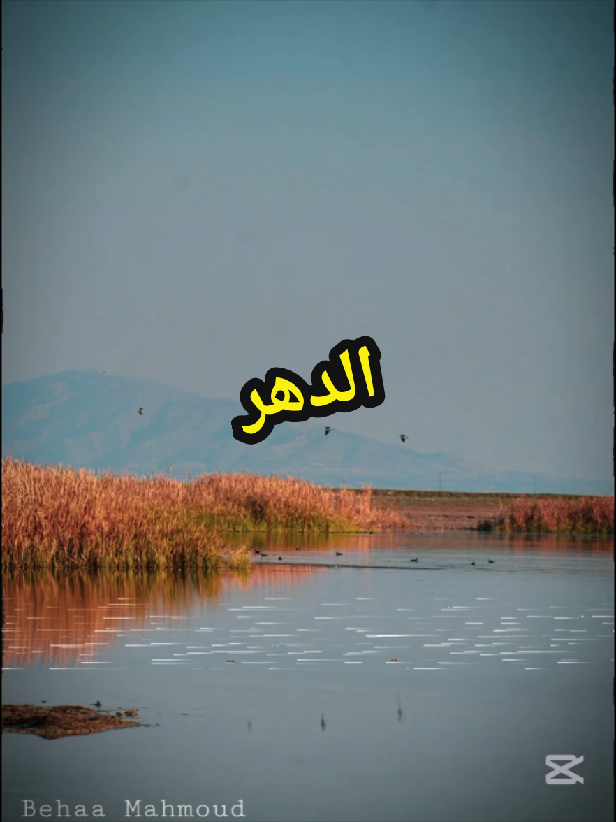 الدهر 📻🚬 . . . . . #الفنان_محمود_العامري #صعدو_الفيديو #لايك_متابعه_اكسبلور #قديمك_نديمك_ذكريات🌹🌹 #تصميم_فيديوهات🎶🎤 