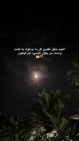 #اللهم_امين #یارب_العالمیــــــــــن🤲🏻🥺 
