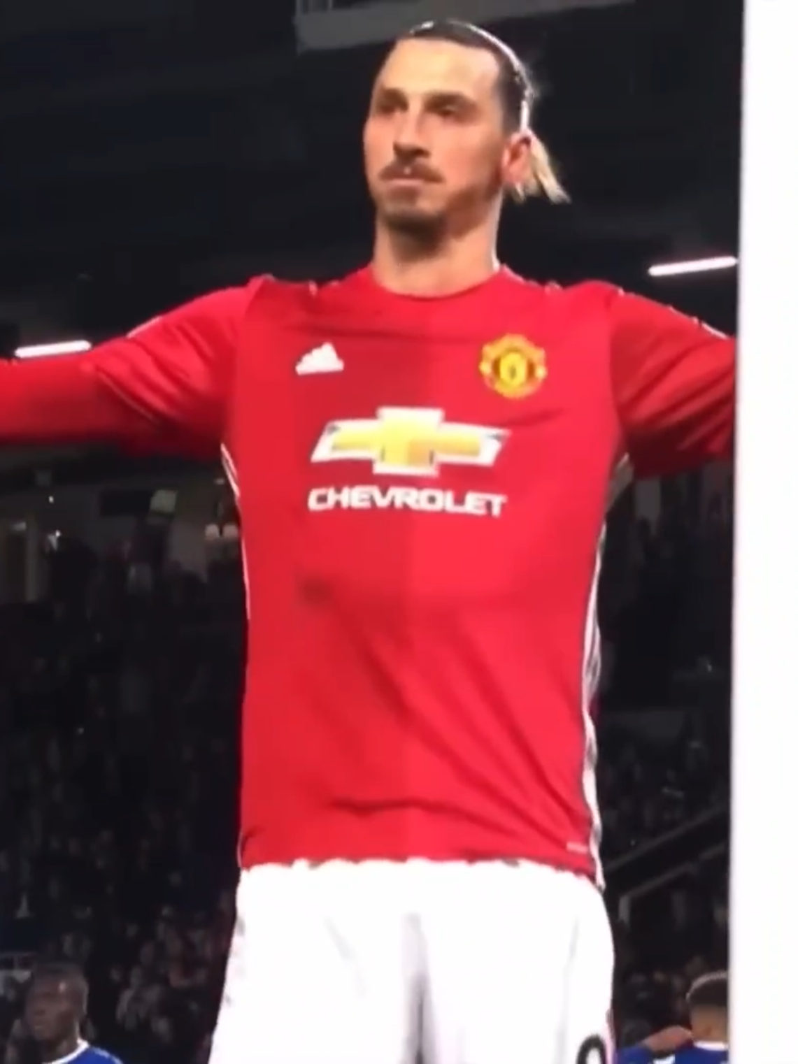 زلاتان ابراهيموفيتش 