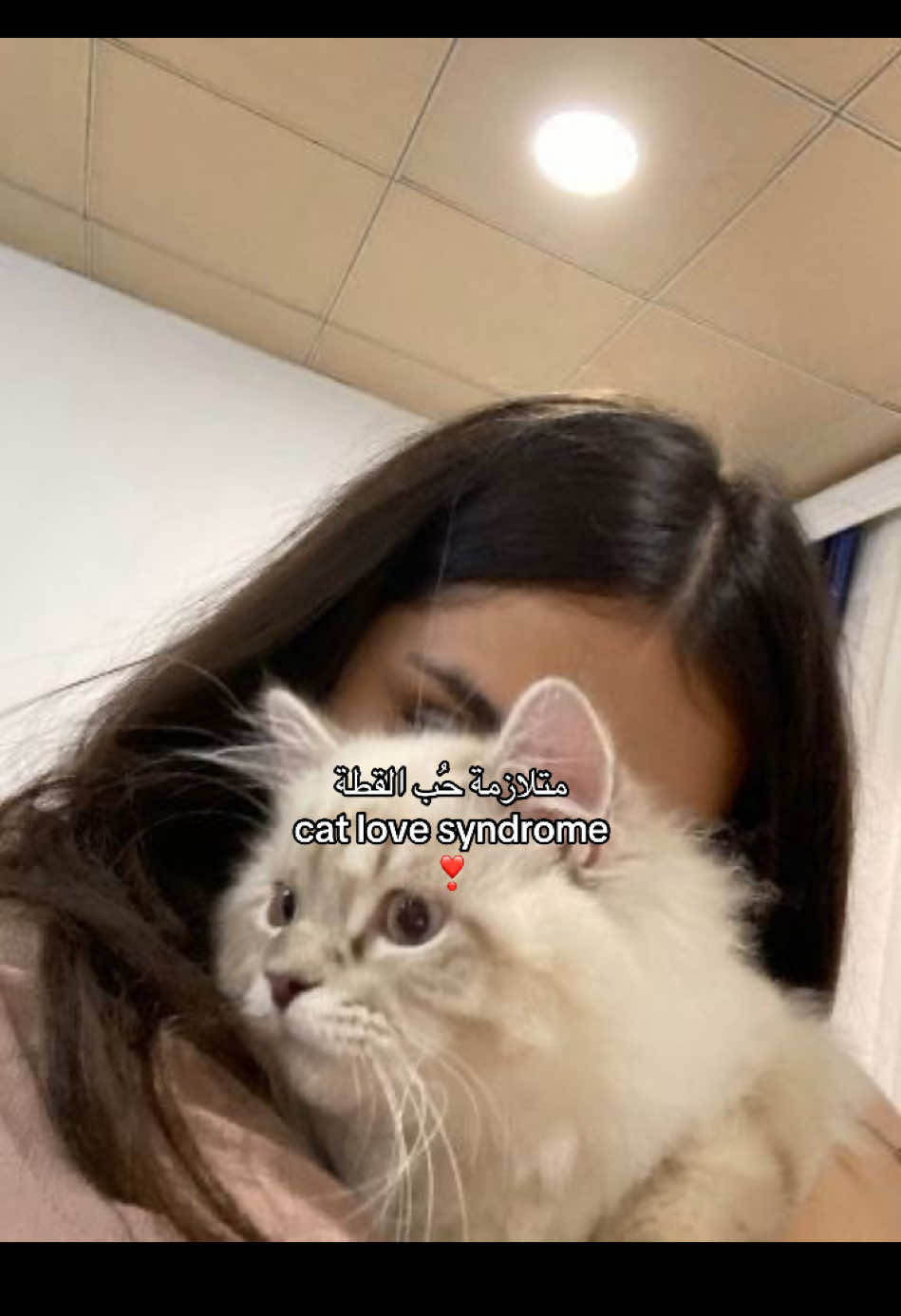 #cat #fyypppppppppppppppppp #viral #Love #❣️❣️❣️ 