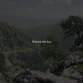 Buhara mîn buy....😍💐 #barzani #acctive #fyp #kurdistan #baruzhi 
