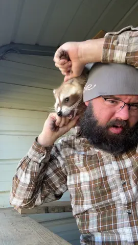 Zoomies with ParmaShawn #raccoonsoftiktok #raccoon #parmashawn #fyp 