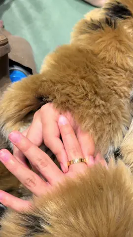 Just kidding, she’s a good girl but this audio was funny 😂#Pobredeti 😜 #cartier 