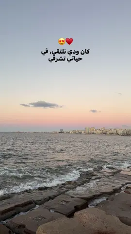 #explore #foryou #fypシ゚ #viral 