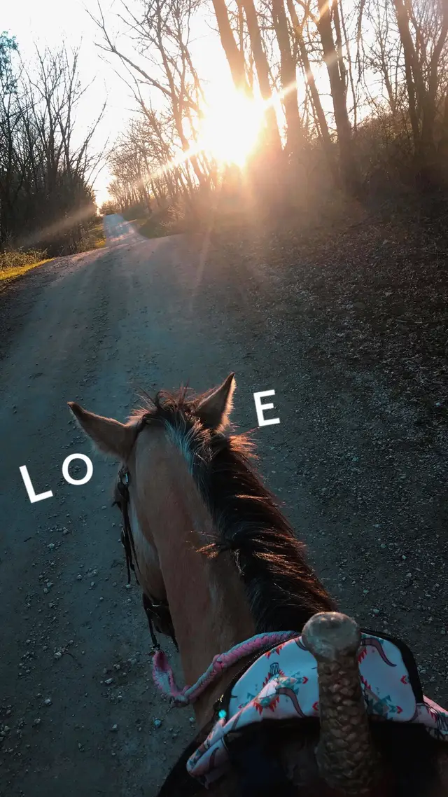 #horses #fyp #ride #4u 