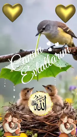 #keşfetttttttttt #keşfetttttttttt #keşfetteyizzzz #keşfetteyizzzz #keşfetbeniöneçıkar 