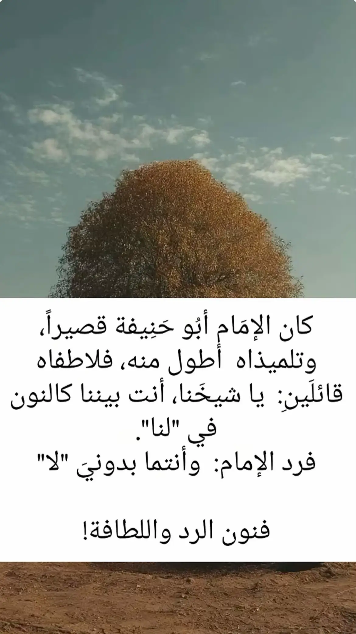 #فنون #التعامل #الطافه #الرد 