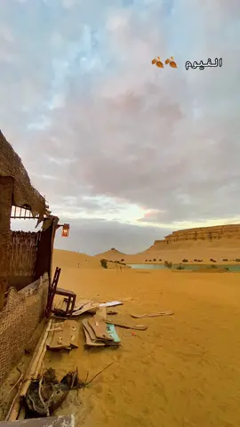 #ليل_الرمحي 