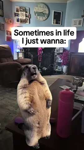 some scream therapy #CapCut #fyp #screaming #muchneeded  #humortok 