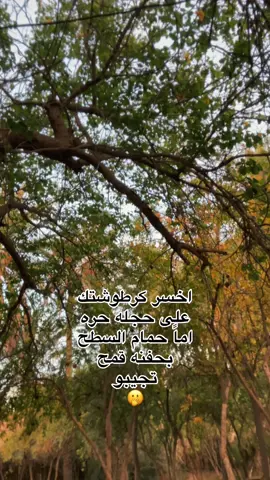 #fypシ゚ #شنني_ڤابس_جنوب_تونسي❤🔥🔥 