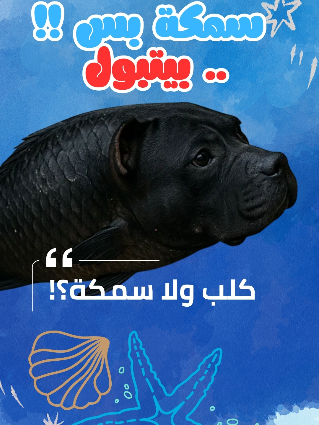 🐠 سمكة برأس كلب! 🐶😲 😳 تشبه جدًا وجه كلب البيتبول 💪🐕 🌊 سبحان الله الخالق العظيم 🙏 ✨ عجائب الخالق لا تنتهي 💫 👇 اللي يعرف اسم السمكة يكتبه في الكومنتات 💬🔥 #سمكة_غريبة 🐟 #كلب_البيتبول 🐕 #عجائب_الخالق ✨ #سبحان_الله 🙏 #إبداع_الله 🌊 #عجائب_البحار 🌴 #sea_life #amazing_nature