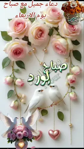 #صباحكم_معطر_بذكر_الله💚🌹 #أسعد الله صباحكم ونور قلوبكم ورزقكم السعاده والعافيه صباح الخير#صبحكم_الله_بالخير_والعافيه🌸🌿 #اللهم جمل صباحنا برضاك عَنَّا صباحًا جميلا يترك أملا ويكتب السَّعادَة في قلوبنا#