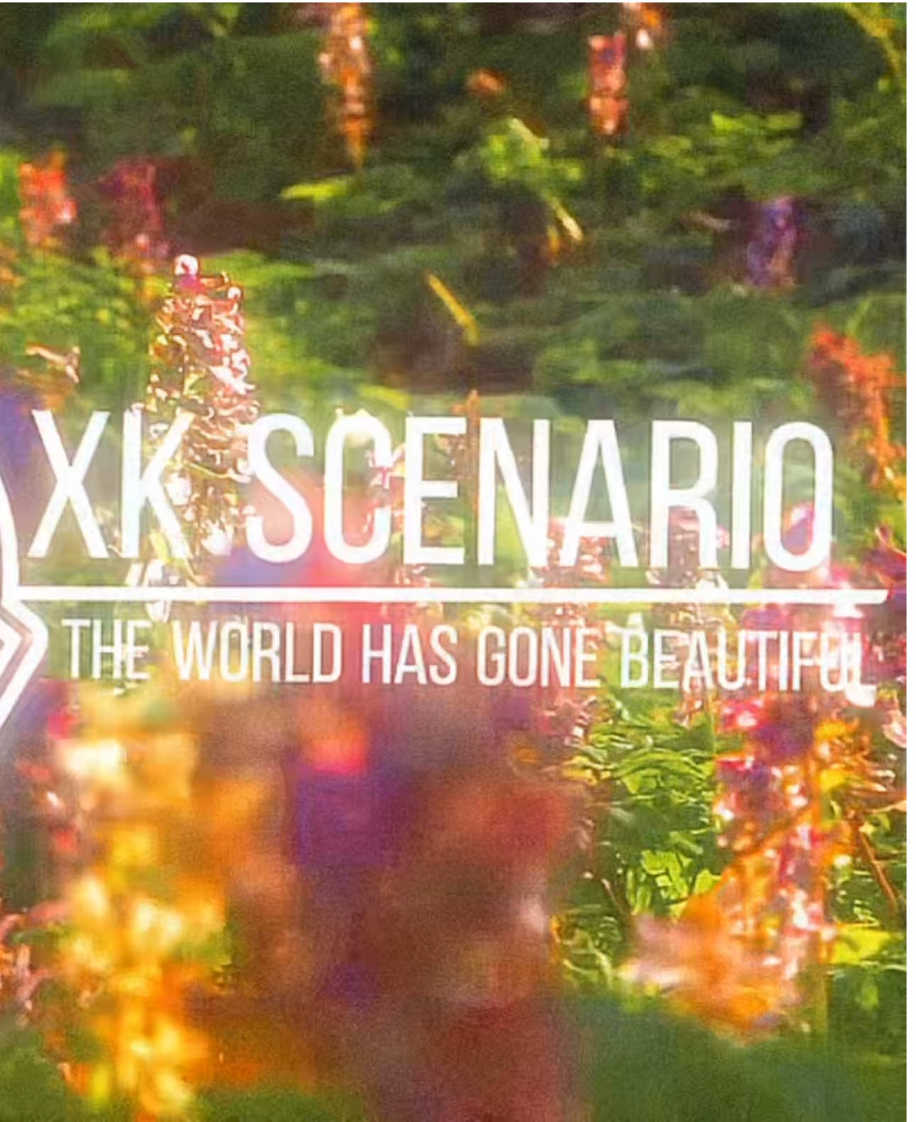 SCP-OO1 Lily’s Proposal: “The World Has Gone Beautiful.” XK Scenario class. #SCPFoundation #scp001 #Hopecore #scpedit #fypシ 