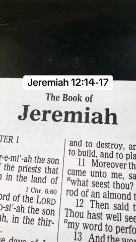 #TheLordJesusChrist #Messiah #GospelKJV #ScriptureReadingFYP #IAmThatIAm 