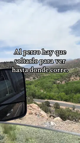 Al perro hay que soltarlo para ver asta donde corre. #reflexionesdelavida #perros #lealtad⚖️⏳ #traicion #lachuyitaofficial 
