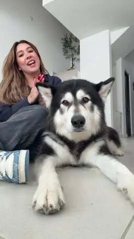 Mía lo hizo una vez más 🥹