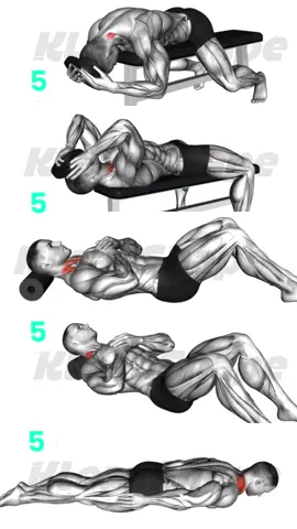 Best exercises for your neck muscles, save this video for your next workout session!!! #workoutroutine #neck #Fitness #kleanshape #gym 