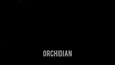 Dingin tetapi tidak kejam)/fyppp#dasigantung 
