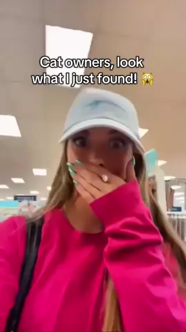 The perfect gift 🎁  #cat #adventcalendar #christmas #pet #catlovers 