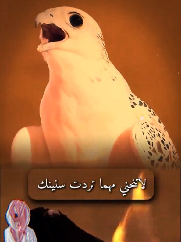 اشمخ شموخ العزواصبربدنياك#CapCut #شموخ #خليل_العنزي #شعر #فانزخواطرعين @خواطرعين 