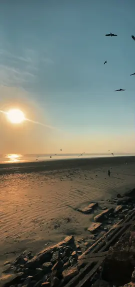 🥹 #trending #viralvideo 