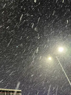 #ехалаврек🚀 #volvo540 