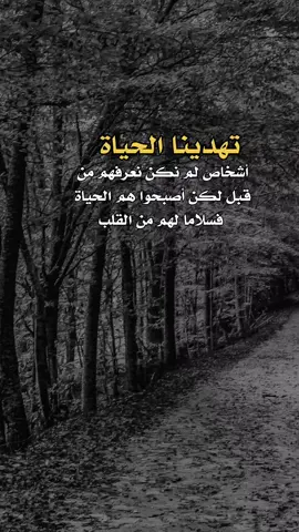 فسلاما لهم من القلب #a_l313n  #عبارات #اكسبلور #اعادة_النشر🔃 