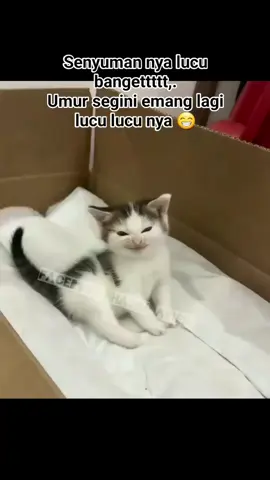 Maniszzzz nya senyum mu