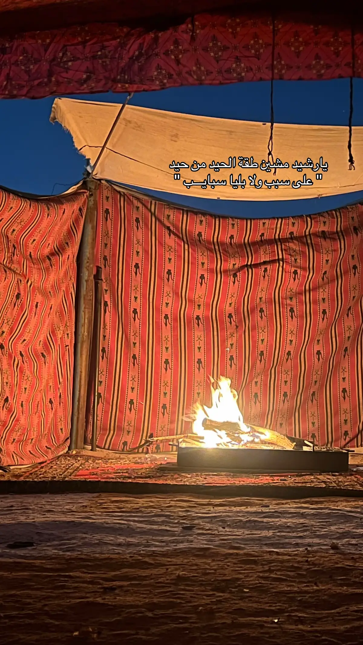 #بــاشــة_الــصــنــدوق✨ #في_ارض_الله_الواسعة 