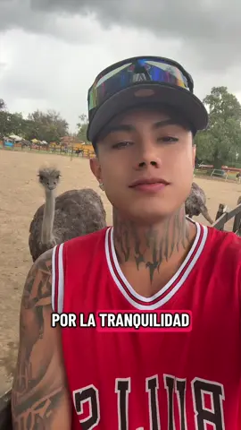 #paratiiiiiiiiiiiiiiiiiiiiiiiiiiiiiii 