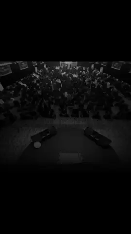 #استشهاد #فاطمة_الزهراء #الشيخ_زمان_الحسناوي #حسين #محمد 