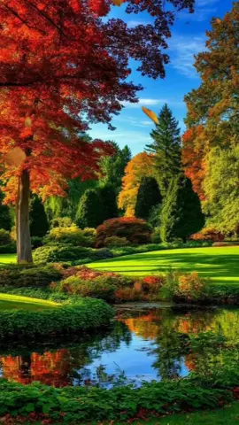 Buenos Dias #BendecidoDia #🌎🙏🙏 #tiktokviral #tiktokviralvideo #fyp 