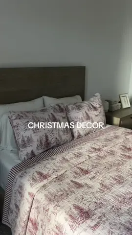 Replying to @Alexis Alexander how were decorating our apartment for Christmas!! @HomeGoods might grab some more things at TJMaxx but it already feels so cozy #christmasdecor #apartmentchristmasdecor #apartmentliving #christmasdecorating 