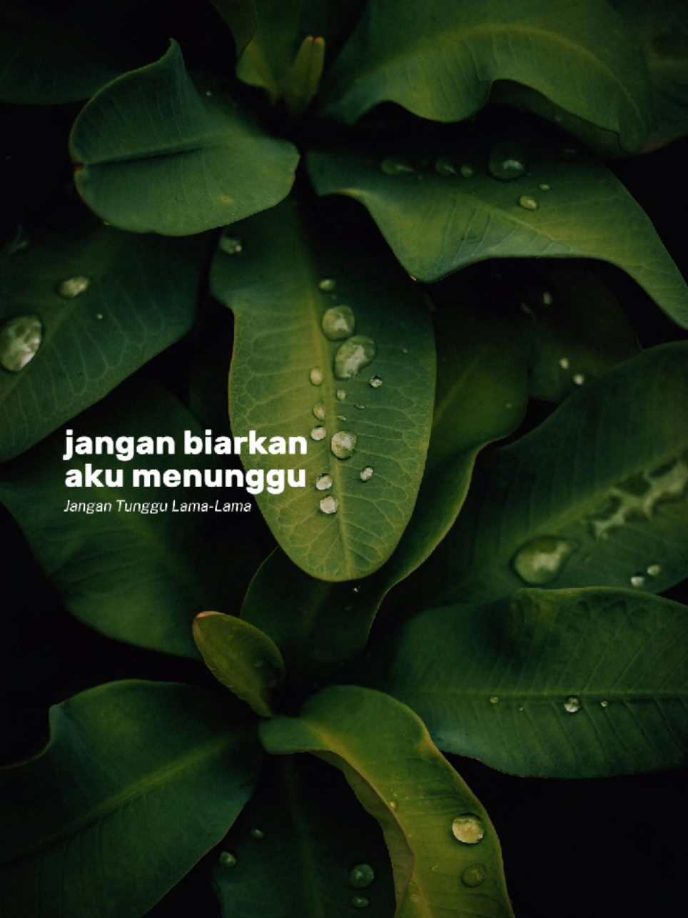 Jangan tunggu lama-lama #CapCut #capcutpioneer #pioneertemplate #lirik #fypp 