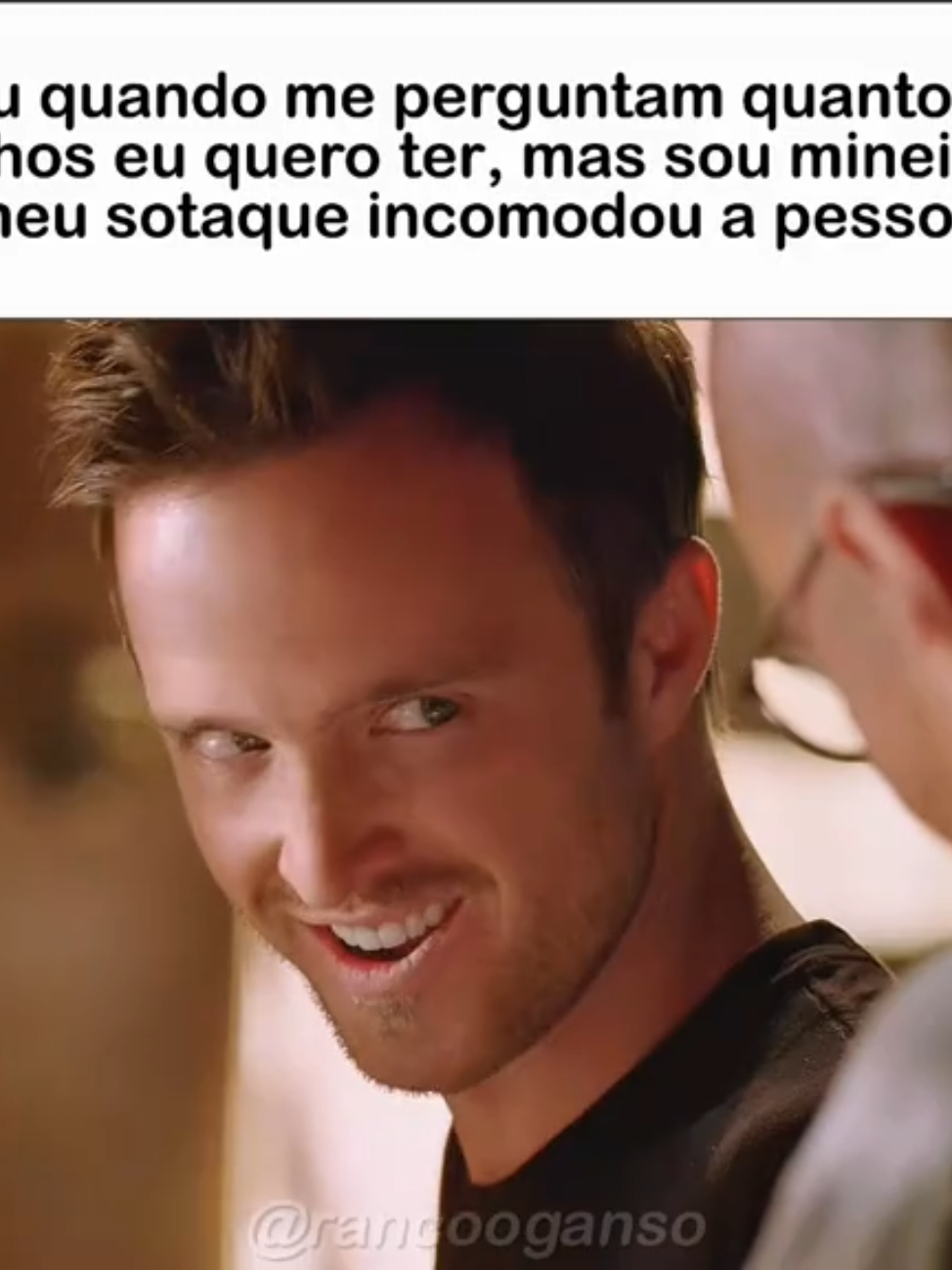eu quando me perguntam quantos filhos quero ter, mas sou mineiro (meu sotaque incomodou a pessoa) #breakingbad #memesbr #real #shitpost #mineiro 