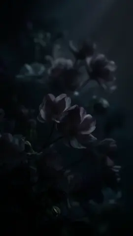 ‏لا تحزن ابداً فالدنيا ليست  بأمرنا إنما  بأمر الله وأمر الله كله خير ❤🌹