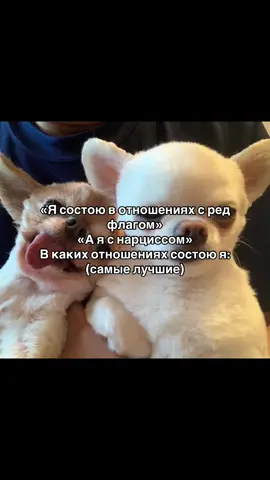 ЭТО БУКВАЛЬНО САМЫЕ ЛУЧШИЕ ОТНОШЕНИЯ КОГДА ВЫ ОБА НА РОФЛЕ  Люблю тебя кстати бее @vangvas  #fyp #foryou #foryoupage 